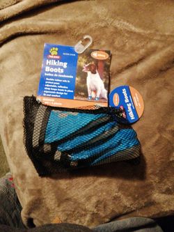 Dogs Hiking Boots