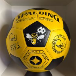 1984 CHICAGO STING Signed ball