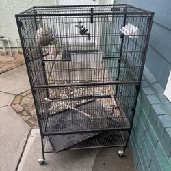 Bird Cage 