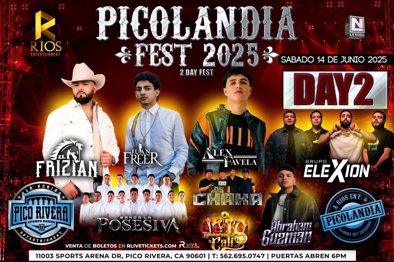 Pico Fest Day 2 Ticket