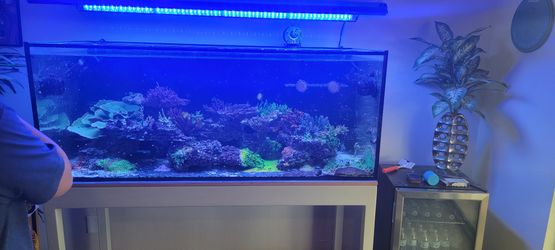 ATI Reef Brite Light Salt Water Aquarium Reef Atf Tank Coral Sps