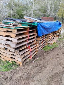 50 Heat treated pallets