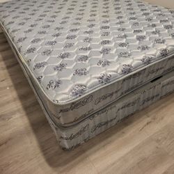 Queen Bed And Box Frame
