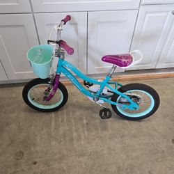 Girls Bike 14