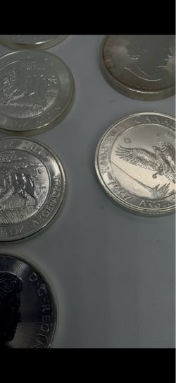 8 Troy Oz 999 Fine Silver