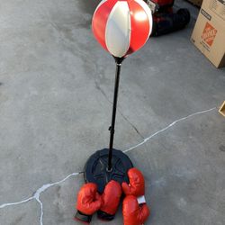 Kids Punching Bag and Two Sets of Gloves