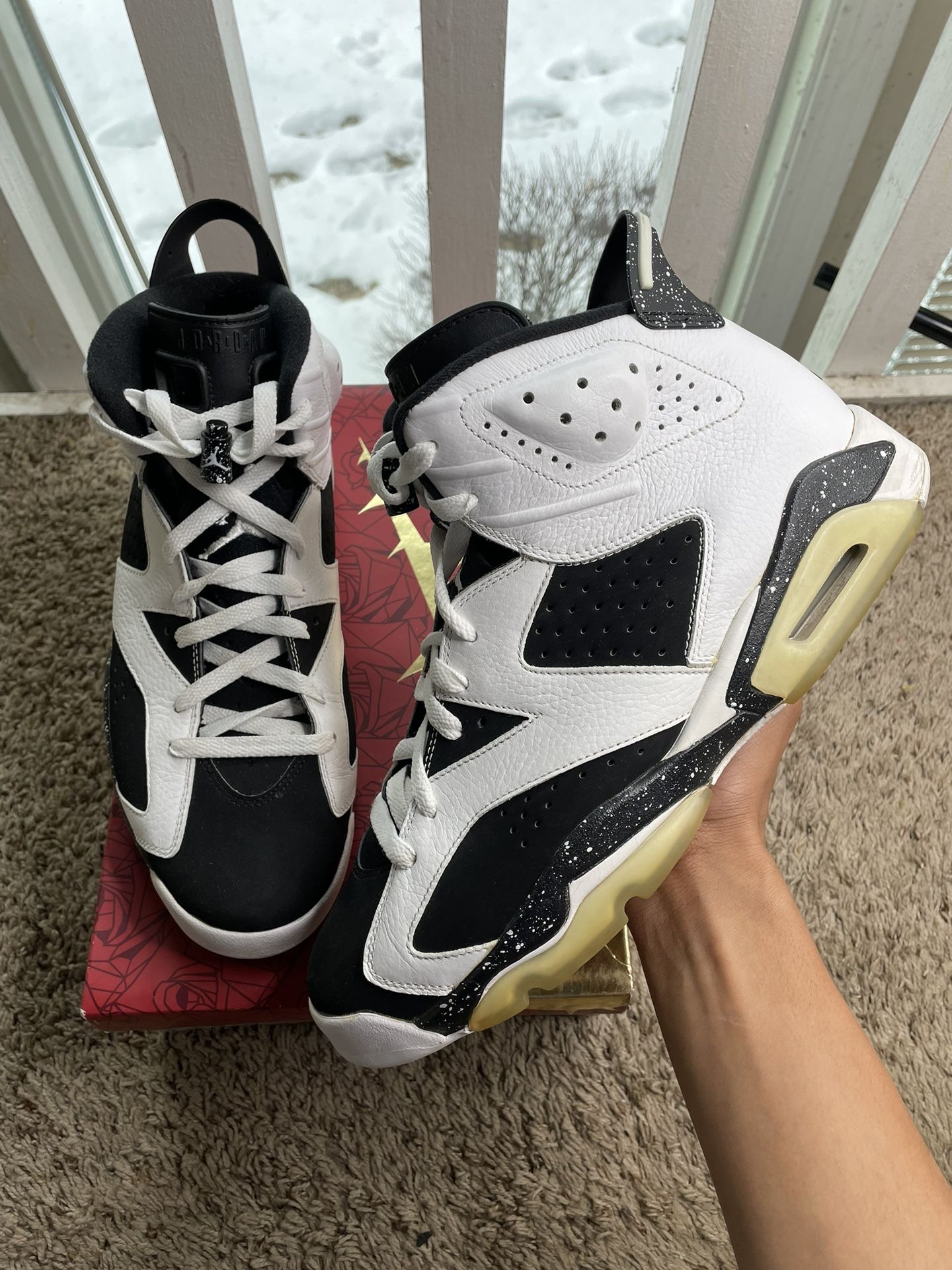 2010 Air Jordan 6 Retro Oreo 