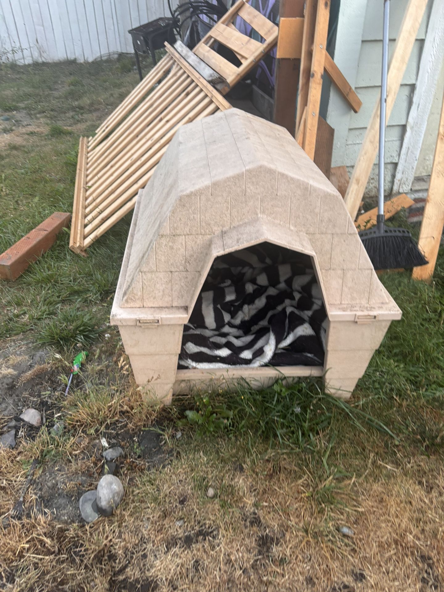 Dog Case 