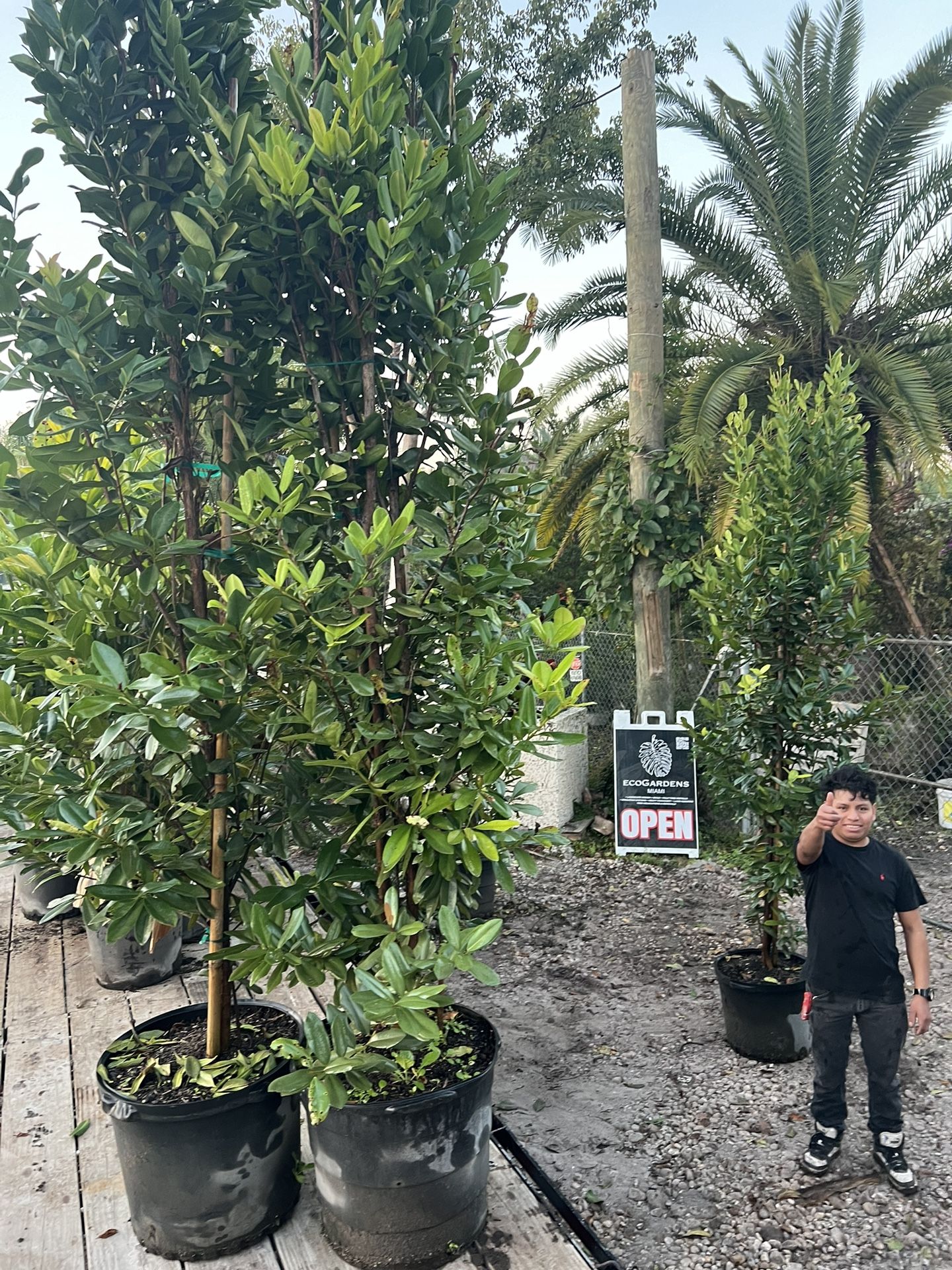 Bayrum 25 Gal 8’ Height