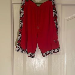 Men’s Chicago Bulls Zipway Shorts XXL