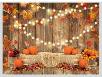 Harvest Fall Backdrop