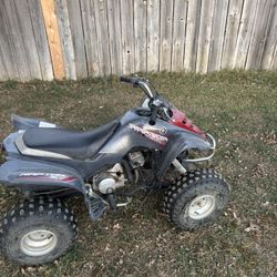 04 Raptor 80 