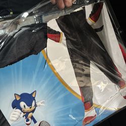 head hog sonic halloween costume 