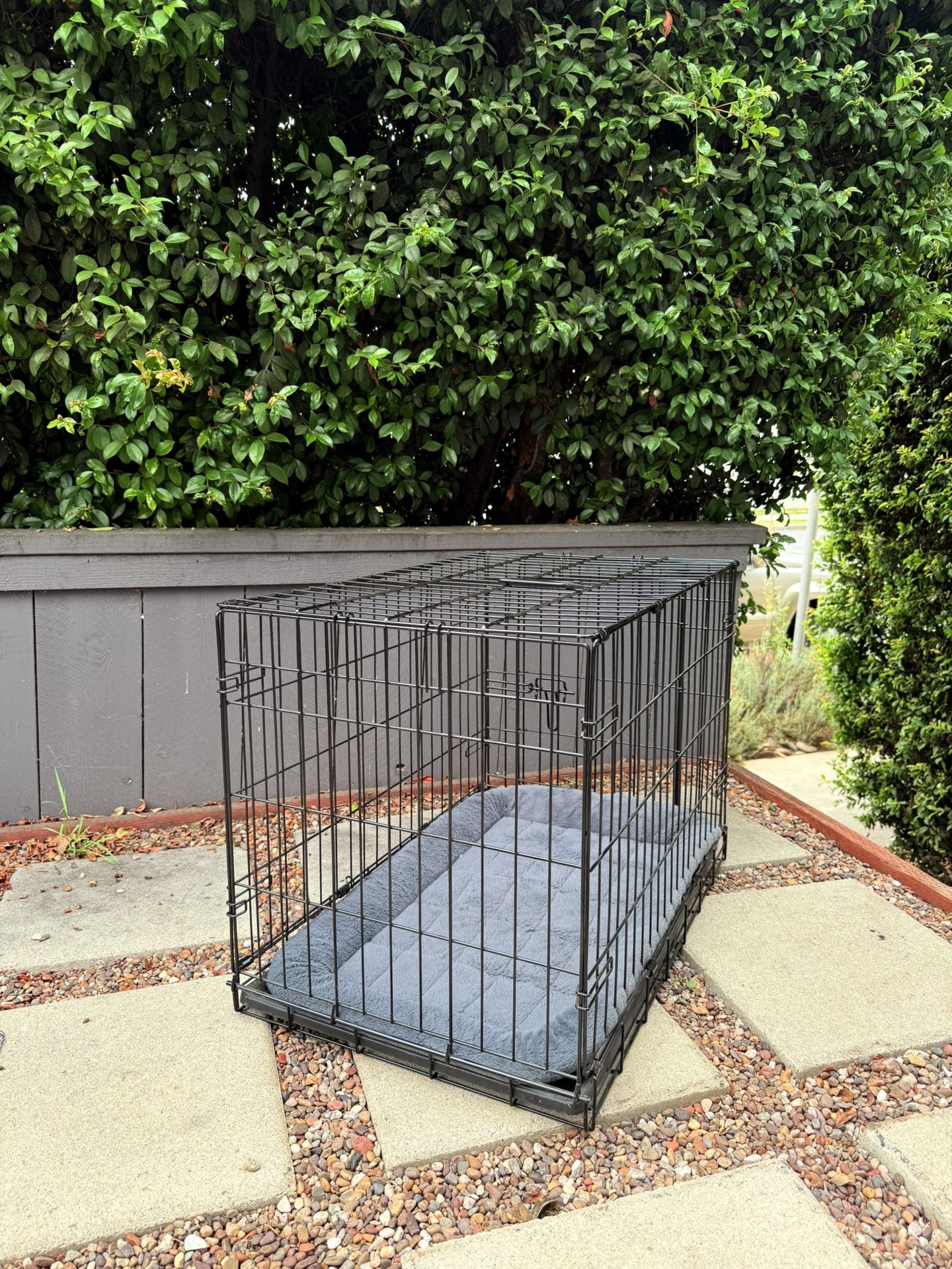 Dog Crate with Mat