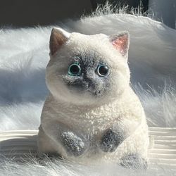 Squish Meow – Stress? Never Heard of Her