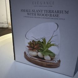 Moderne Elegance Slantterrarium 