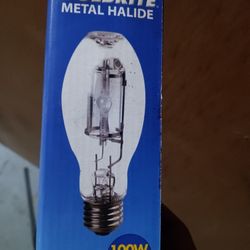 100w Light Bulb 