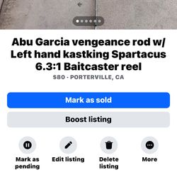 Abu Garcia LH combo