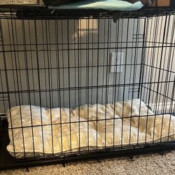Medium dog crate + Dog Bed