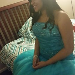 Quinceañera Dress/ball Gown