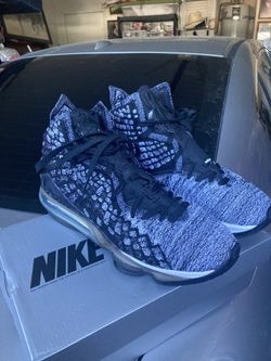 Lebron Nike Shoes