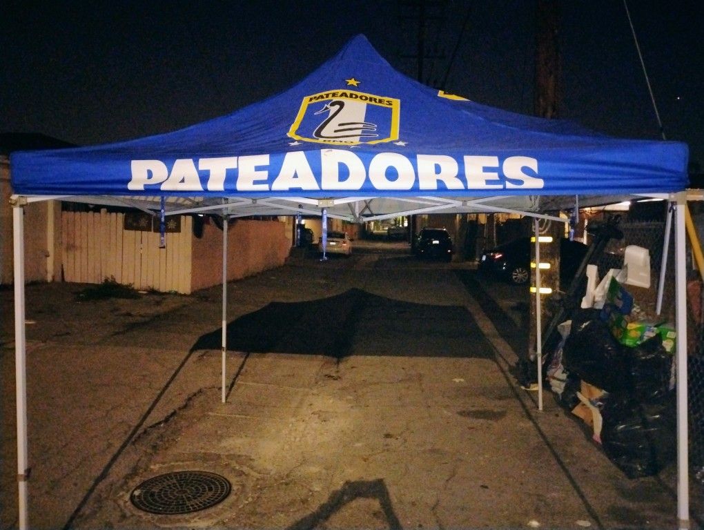 Easy Up Canopy 10ft By 10ft...