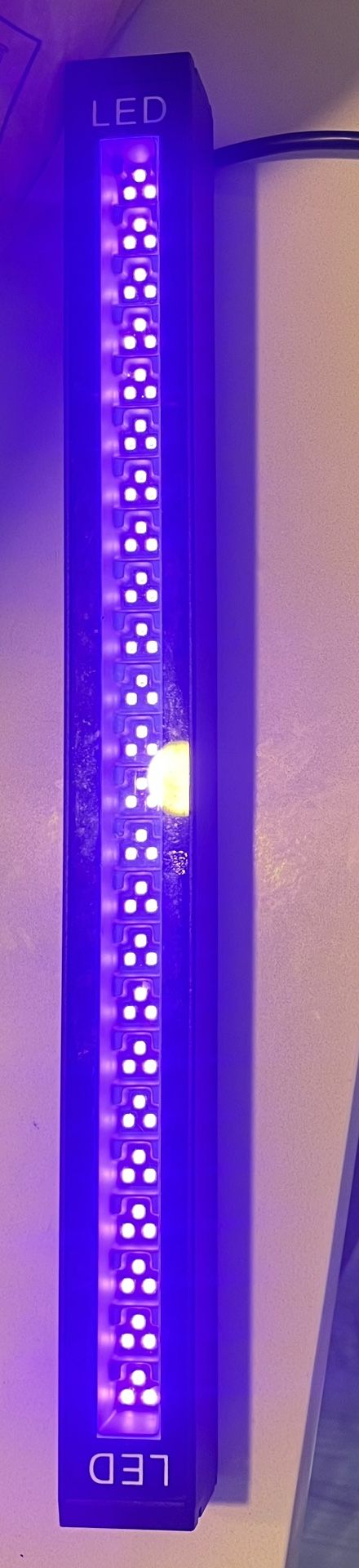 LED Black Light