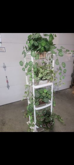 Plant holder