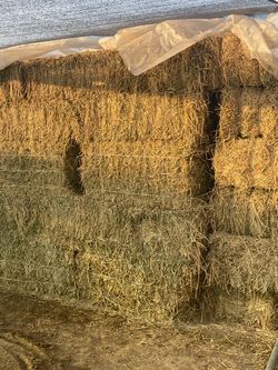 Square Hay Bales – Multiple Available