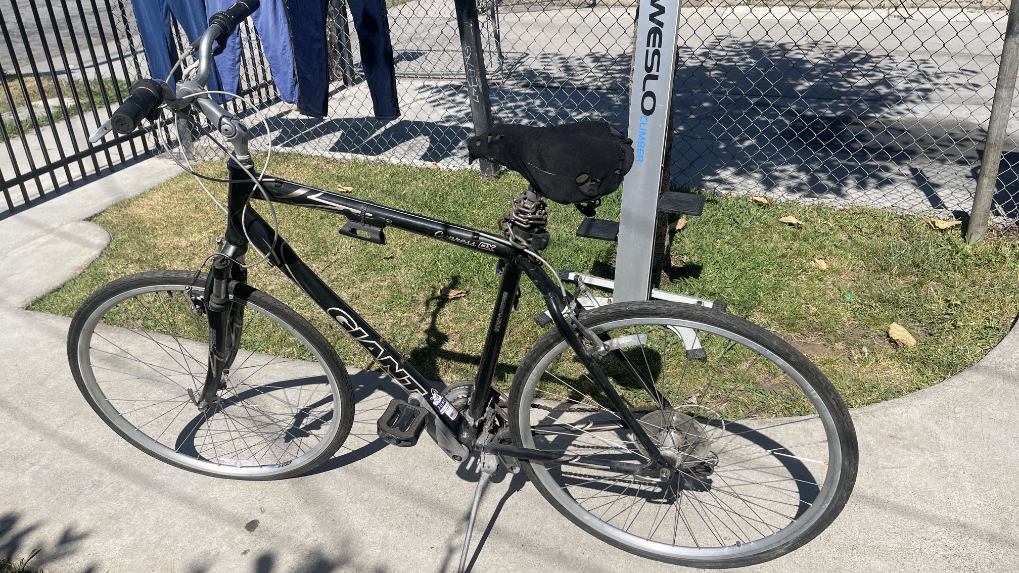 Giant Cypress DX (Black)