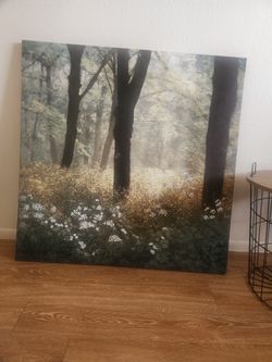Lrg woods, trees, wilderness canvas