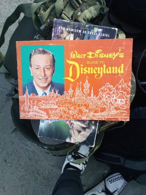 Walt Disney Guide To Disneyland