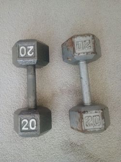 20 Pound Dumbbells