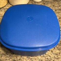Tupperware idli stand