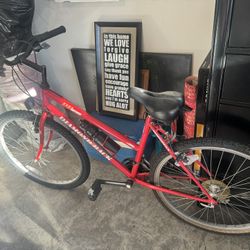 Mountain Bike