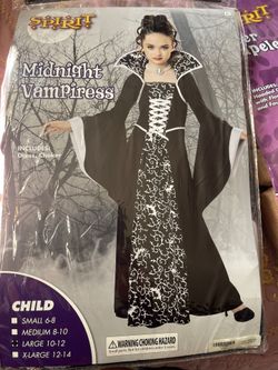 Midnight Vampiress  Costume 