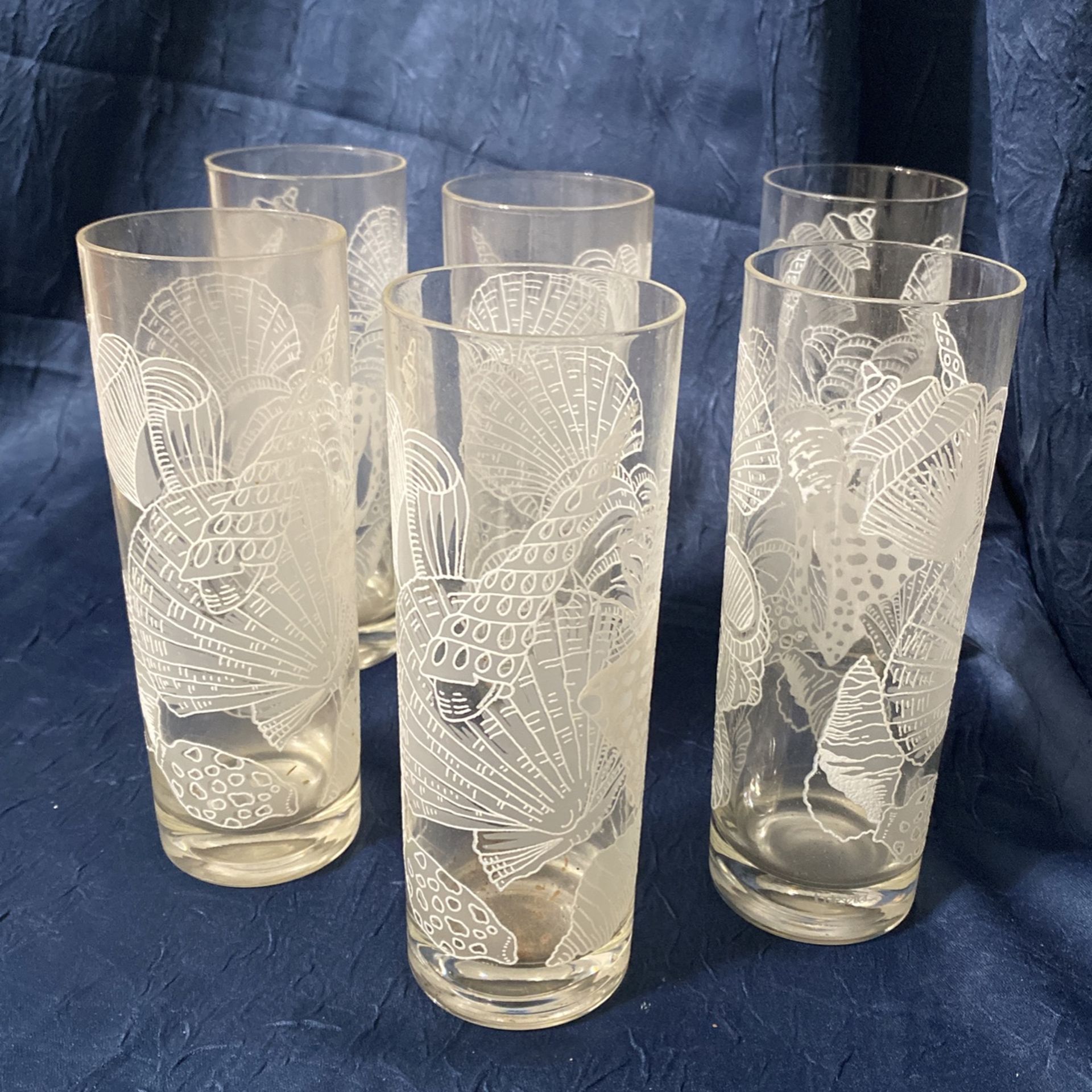 Set Of 6 Tastesetter White Shell Design Highball Glasses, 15 oz by Sigma Towel.