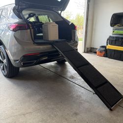 Dog Ramp 