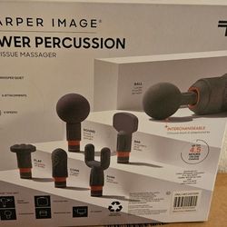Sharper Image Massager 