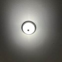 Silver Ceiling Mount Lamp 