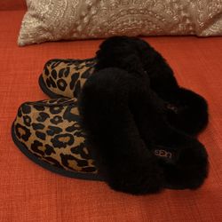 Ugg Slippers 
