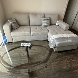 Couch + coffee Table 