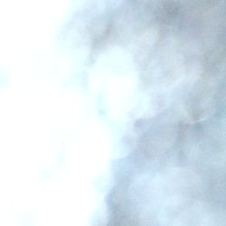 Ten used 250 watt solar panels $500 for the lot