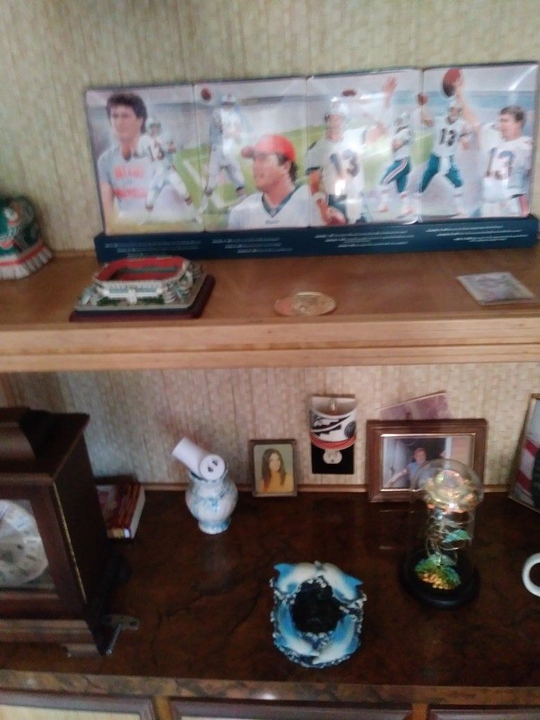 Dan Marino's Plates From Start To Finish His Career Each Plate Has A History On Back Of It