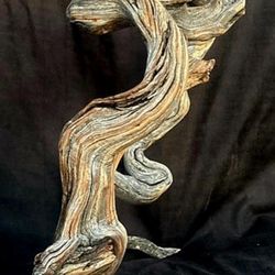 Top Quality Drift Wood 