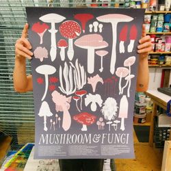 Mushroom Poster NEW