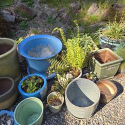 Lots Of Pots & Rocks