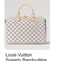 AUTHENTIC LOUIS VUITTON SPEEDY 35 