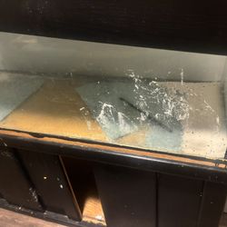 Fish Tank For Sale 