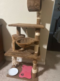 Cat tree -$20